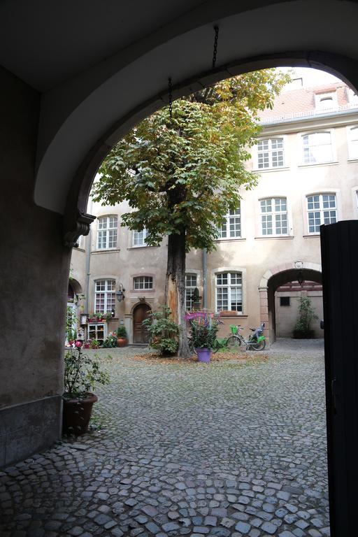 Les Dentelles - Appartement Meuble Design Petite France Strazburg Dış mekan fotoğraf